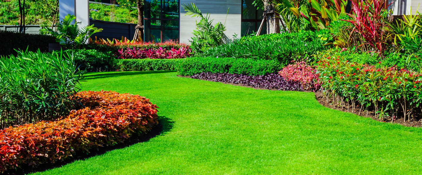 landscaping services in wareham ma, plymouth, ma and marion, ma